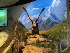 -陕西自然博物馆