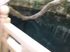 -蝴蝶泉公园