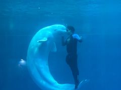 -石林冰雪海洋世界
