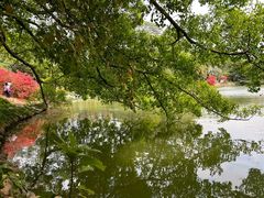 -华南国家植物园-售票处