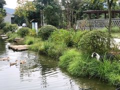 -石塘人家