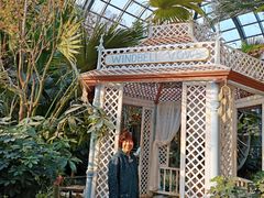 -大塘金香草谷