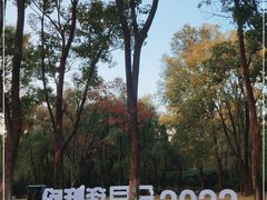 -洛阳市隋唐城遗址植物园