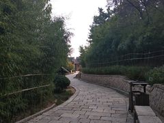 -竹子庵公园