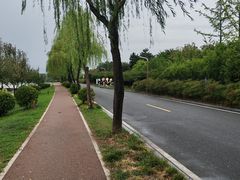 -洨河生态公园