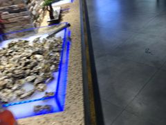 -万象·复兴号鲜肉烤肉海鲜自助(升级店)