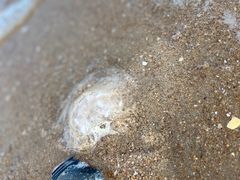-天津东疆湾沙滩景区
