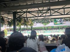 -野象谷景区