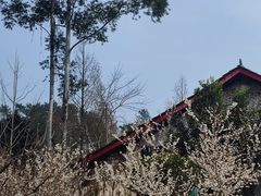 -樱桃山旅游景区