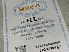 -纳吉亚猫专科动物诊疗中心(蒋宅口分院)
