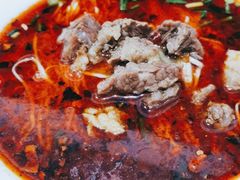 -智强牛肉面