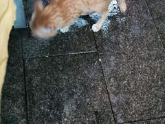 -忠记湛江烧蚝店