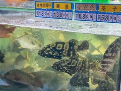 -明记海鲜大排档(巽寮湾店)