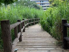 -成都市活水公园