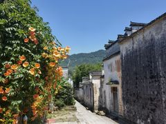 -黟县屏山村