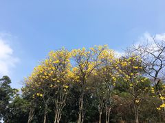 -广州市白云山风景名胜区