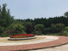 -嘉定紫藤园