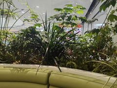 -大树餐厅(红旗街万达店)