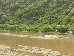 -白河湾生态旅游一条川