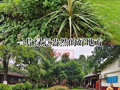 -铁像寺水街