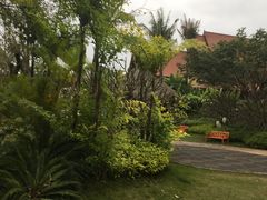 -西双版纳融创皇冠假日度假酒店