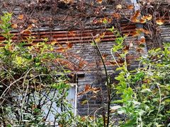-南京鼓楼医院(鼓楼本部)