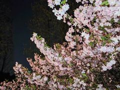 -大宁公园