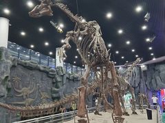 -吉林省自然博物馆