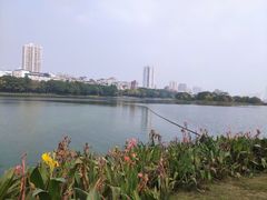 -南宁南湖公园