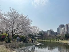 -堤角公园