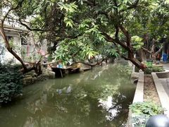 -小洲村