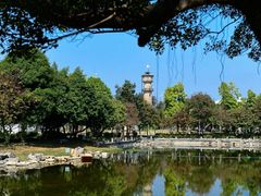 -广西大学(大学东路校区)