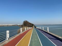 -贡湖湾湿地公园