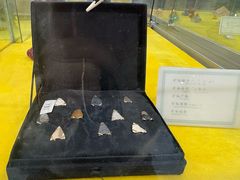 -游龙石文化科普馆