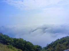 -白草畔自然风景区