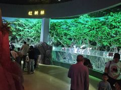 -福州罗源湾海洋世界旅游区