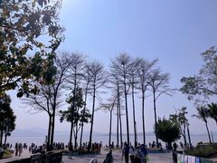 -深圳湾公园(南山区)