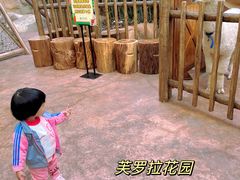 -杭州开元森泊度假乐园