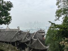 -南山植物园