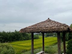 -良渚古城遗址公园