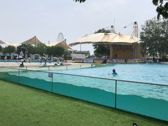 -秦皇岛乐岛海洋王国