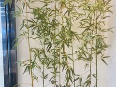 -大榕树下顺德菜(融创茂店)