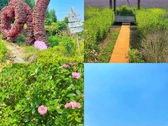 -紫颐香薰山谷景区