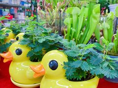 -秦美花卉(天朗·莱茵小城2期店)