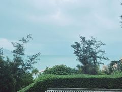 -那琴半岛地质海洋公园