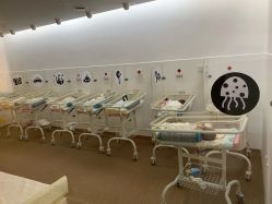 -海豚湾高端月子会所(黄浦店)