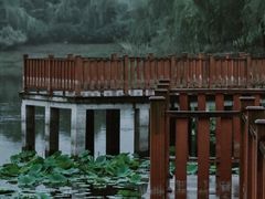 -中南财经政法大学(首义校区)