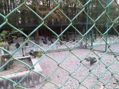 -南京金牛湖风景区