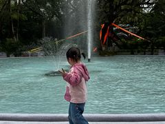 -九龙公园