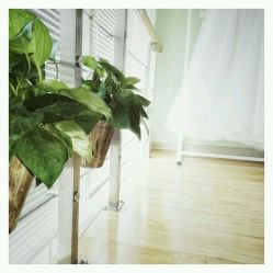 -纪梵希婚纱摄影(青岛店)